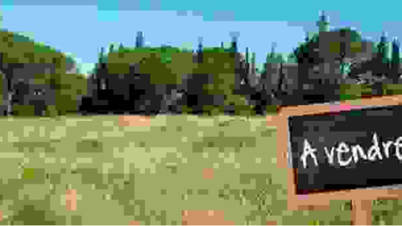 Terrain à vendre.jpeg