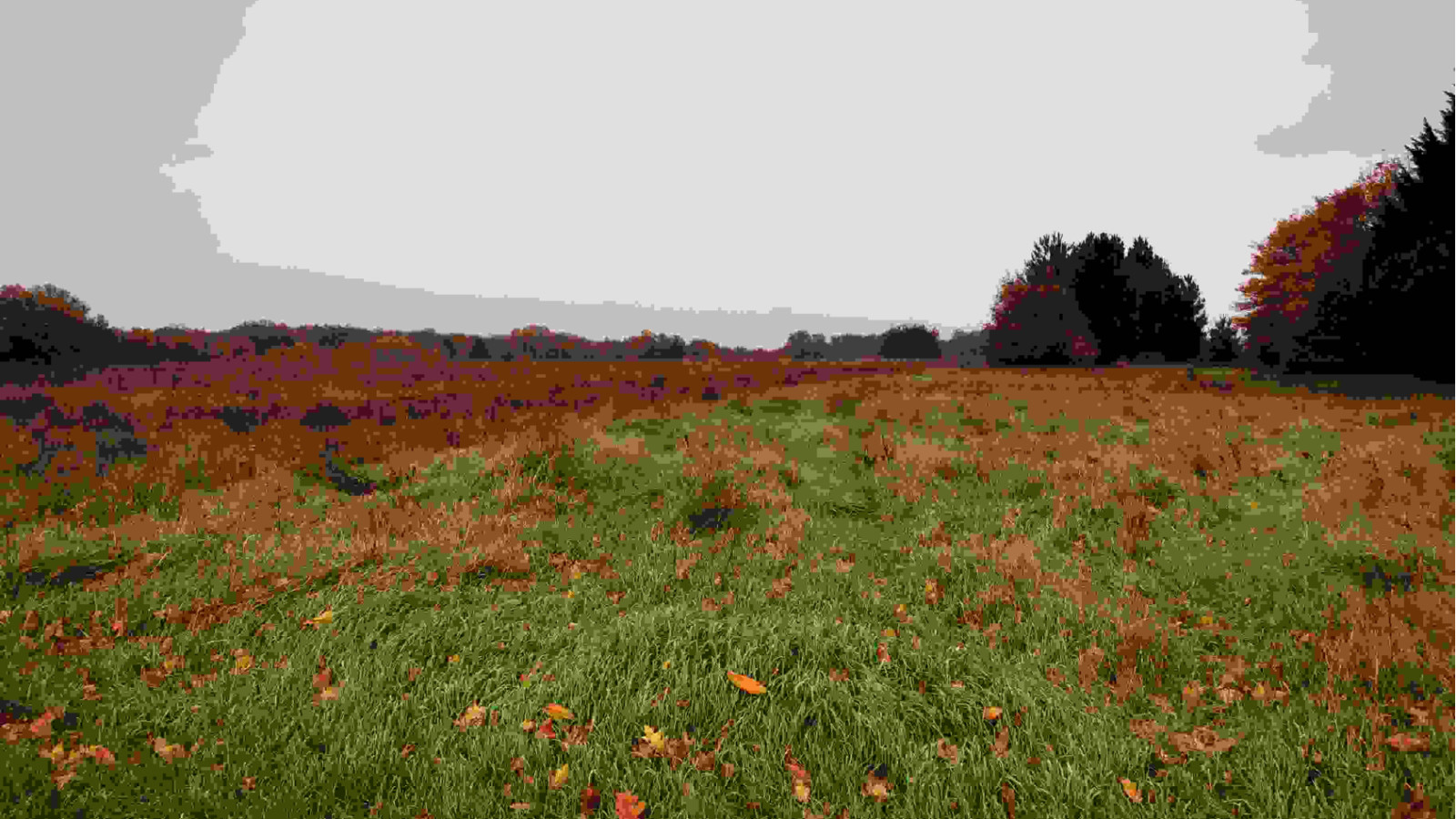 Terrain constructible de 523m2 à Courçay