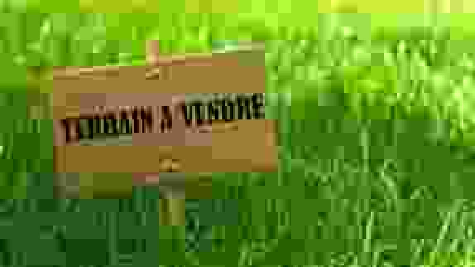 Terrain constructible de 1000m2 à Mosnes