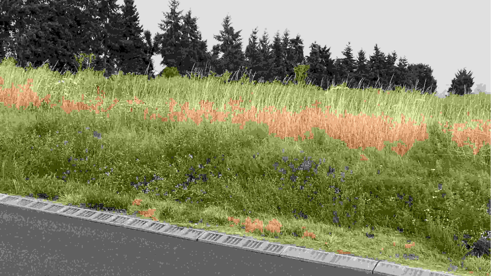 Terrain constructible de 813m2 à Mettray