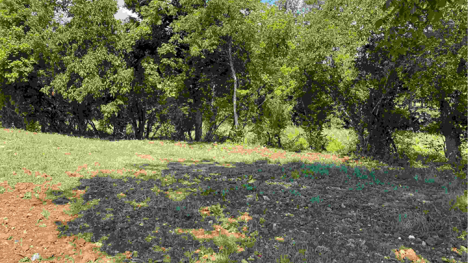 Terrain constructible de 493m2 à Semblançay