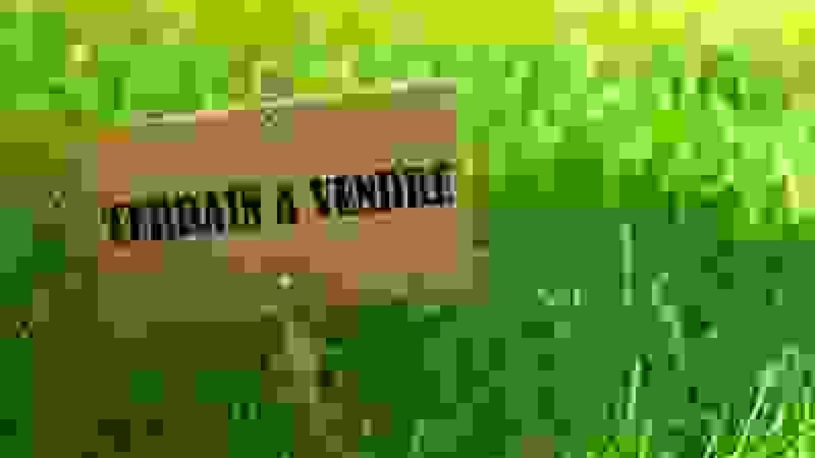 Terrain constructible de 980m2 à Loches