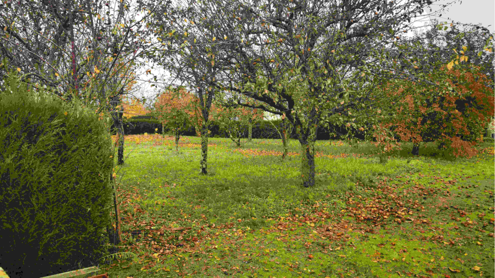 Terrain constructible de 714m2 à Loches