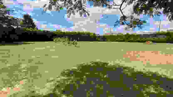 Maillé 1000m2 diffus.jpg