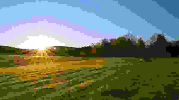 Visuel non contractuel.jpg