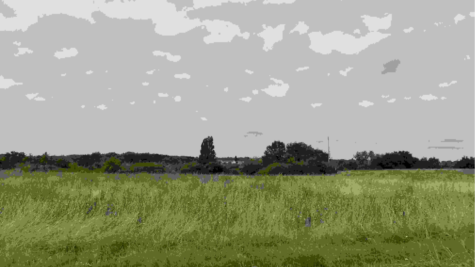 Terrain constructible de 434m2 à Tauxigny-Saint-Bauld