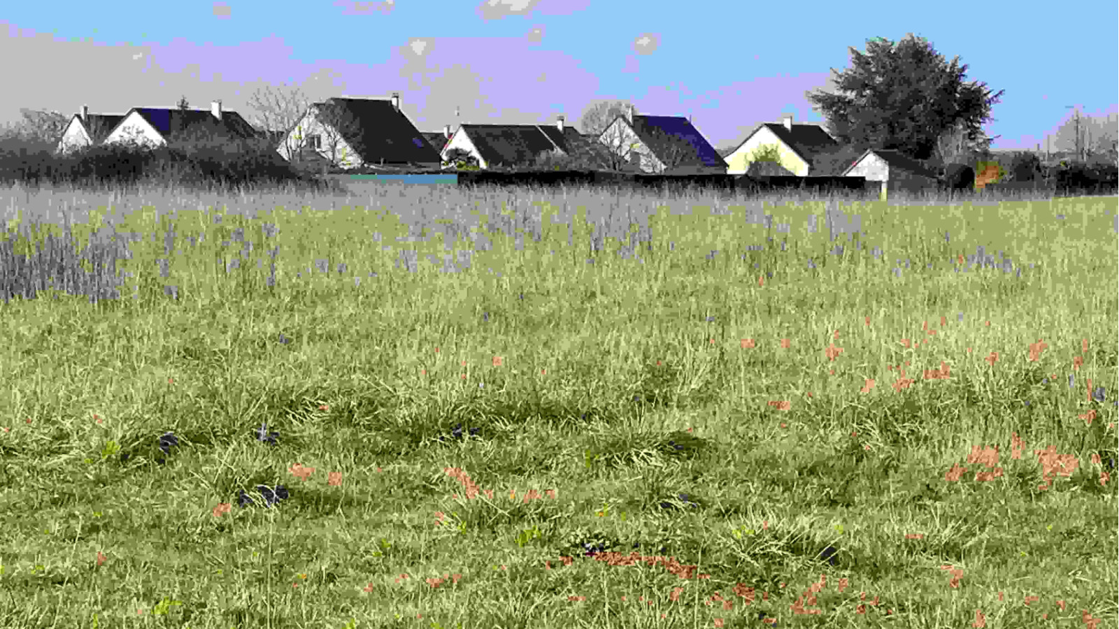 Terrain constructible de 401m2 à Druye