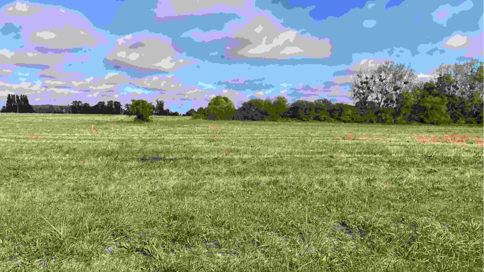 Terrain constructible de 530m2 à Sorigny