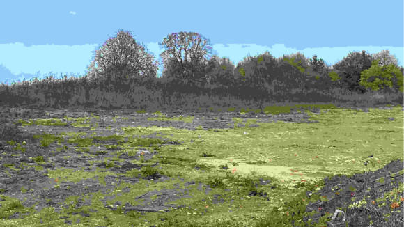 ballan miré set.jpg