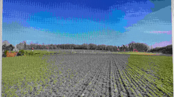 Negocim ste maure.jpg