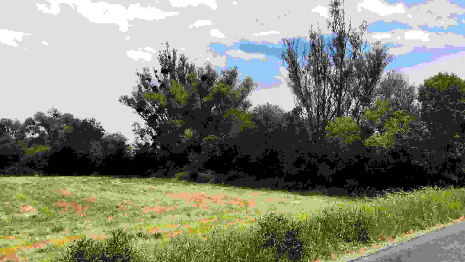 Terrain constructible de 715m2 à Loches