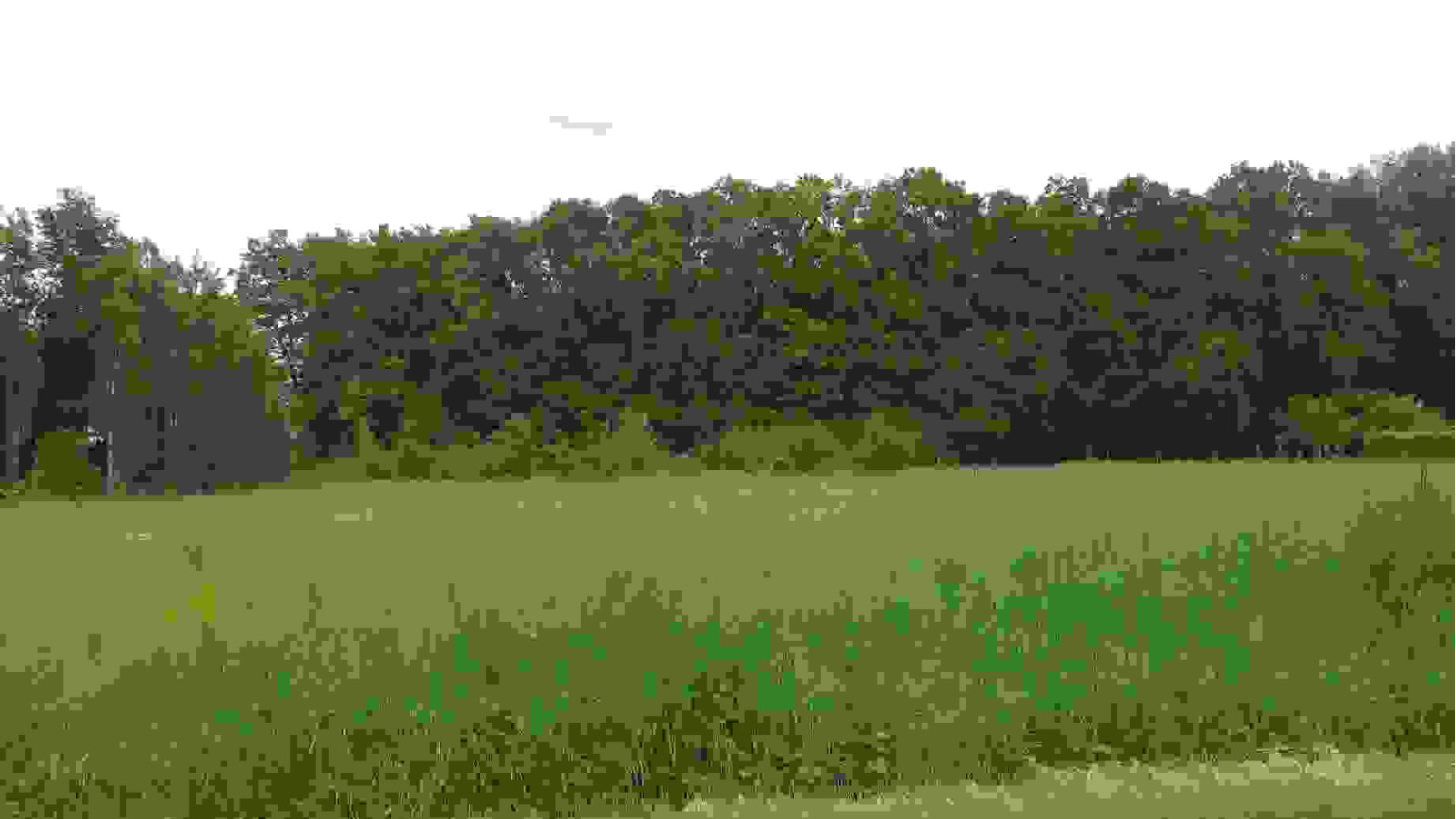 Terrain constructible de 864m2 à Bléré