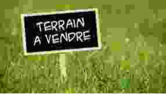 terrain à vendre.jpeg