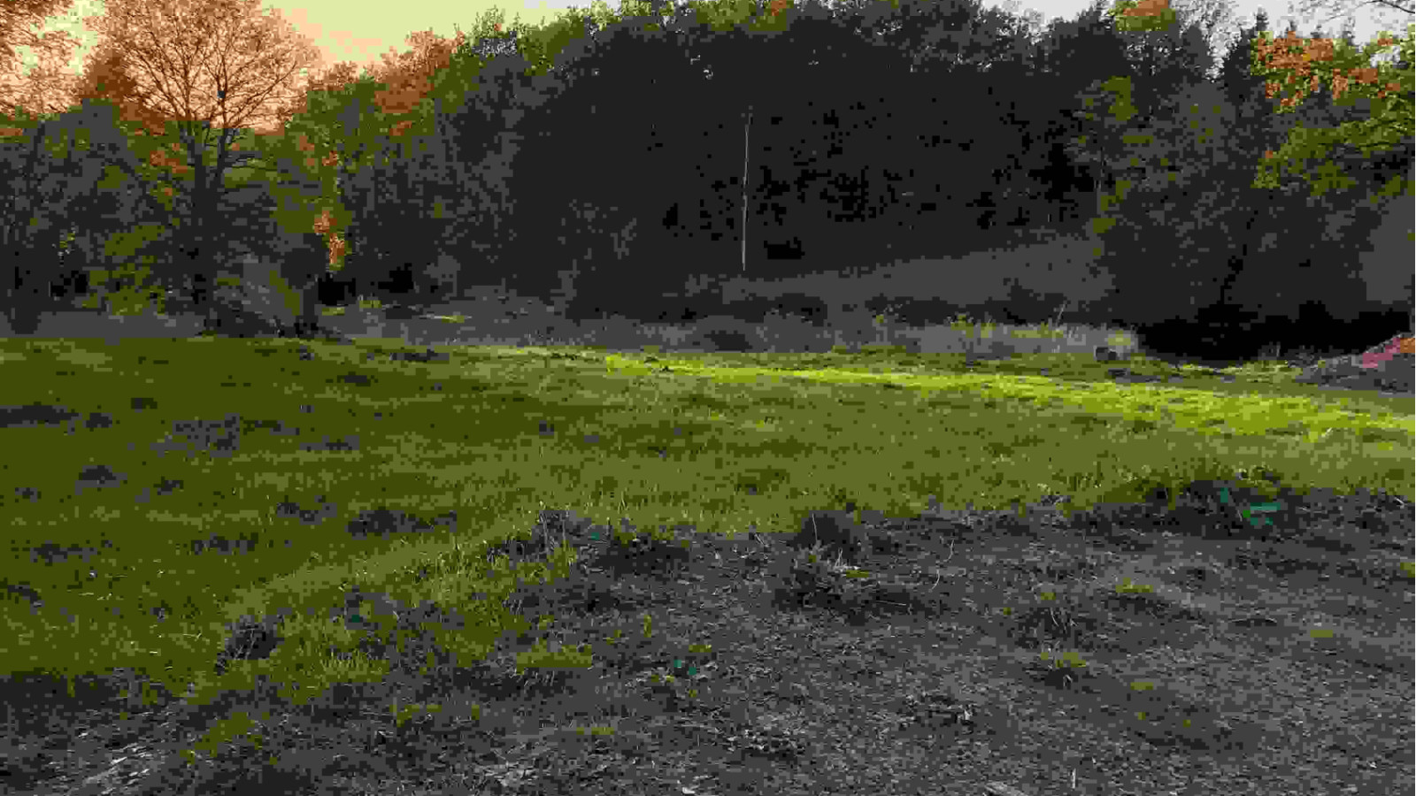 Terrain constructible de 600m2 à Pocé-sur-Cisse