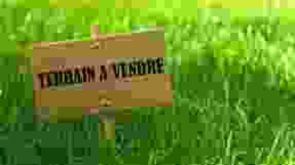 terrain à vendre.jpg