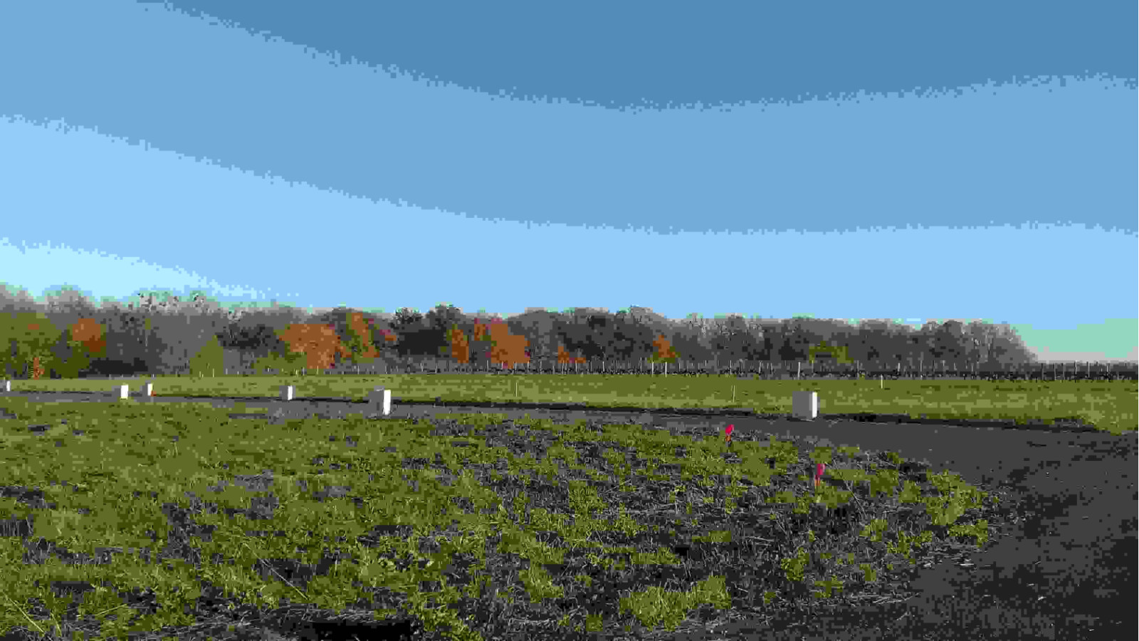 Terrain constructible de 506m2 à Mosnes