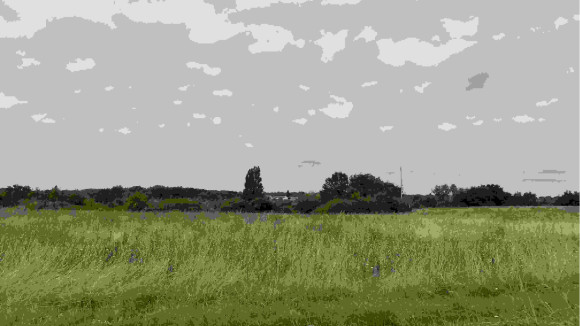 TAUXIGNY VIABILIS.jpg