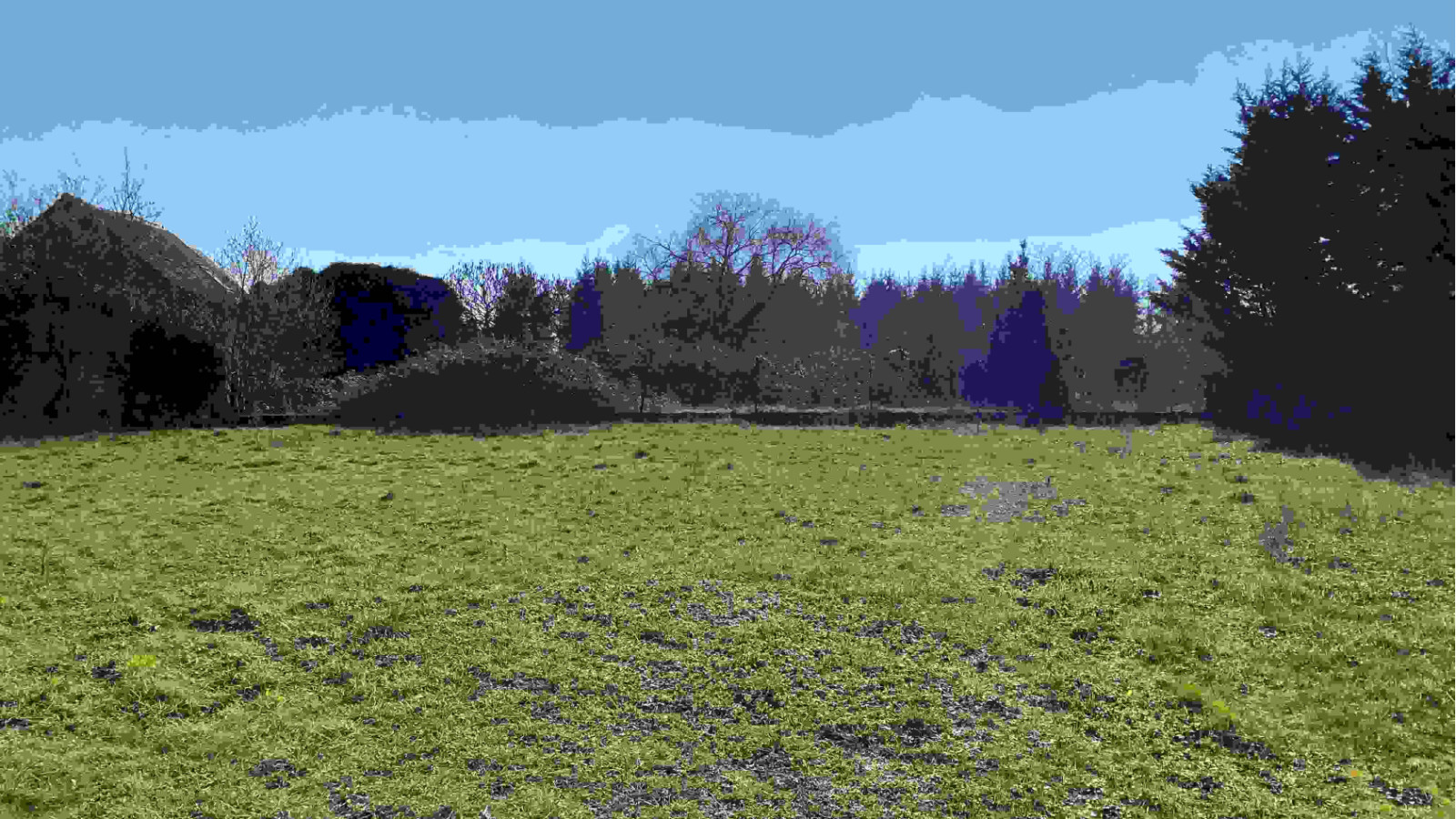 Terrain constructible de 1500m2 à Hommes