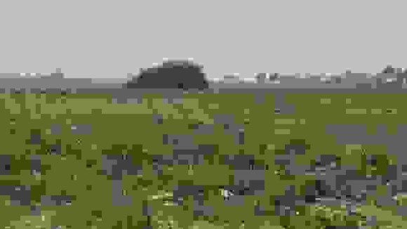 Terrain notre dame d'oé.jpg