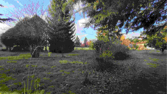 TERRAIN SAVONNIERES (1).jpg