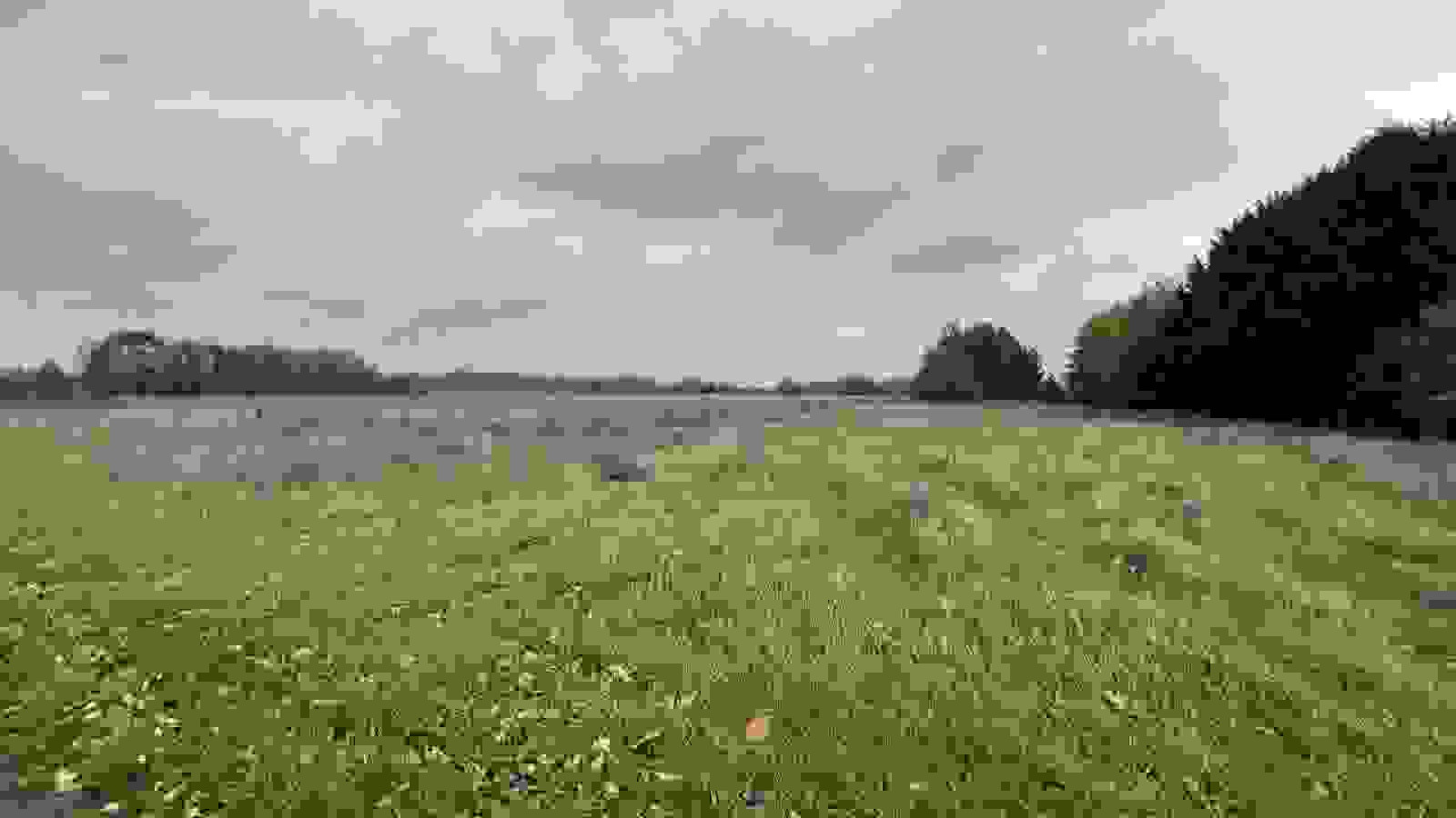 Terrain constructible de 400m2 à Courçay