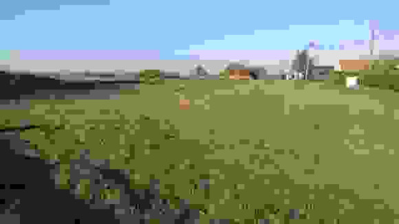 VTH ST PATERNE RACAN.jpg