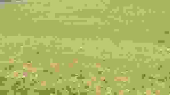 la tour saint gelin.jpg