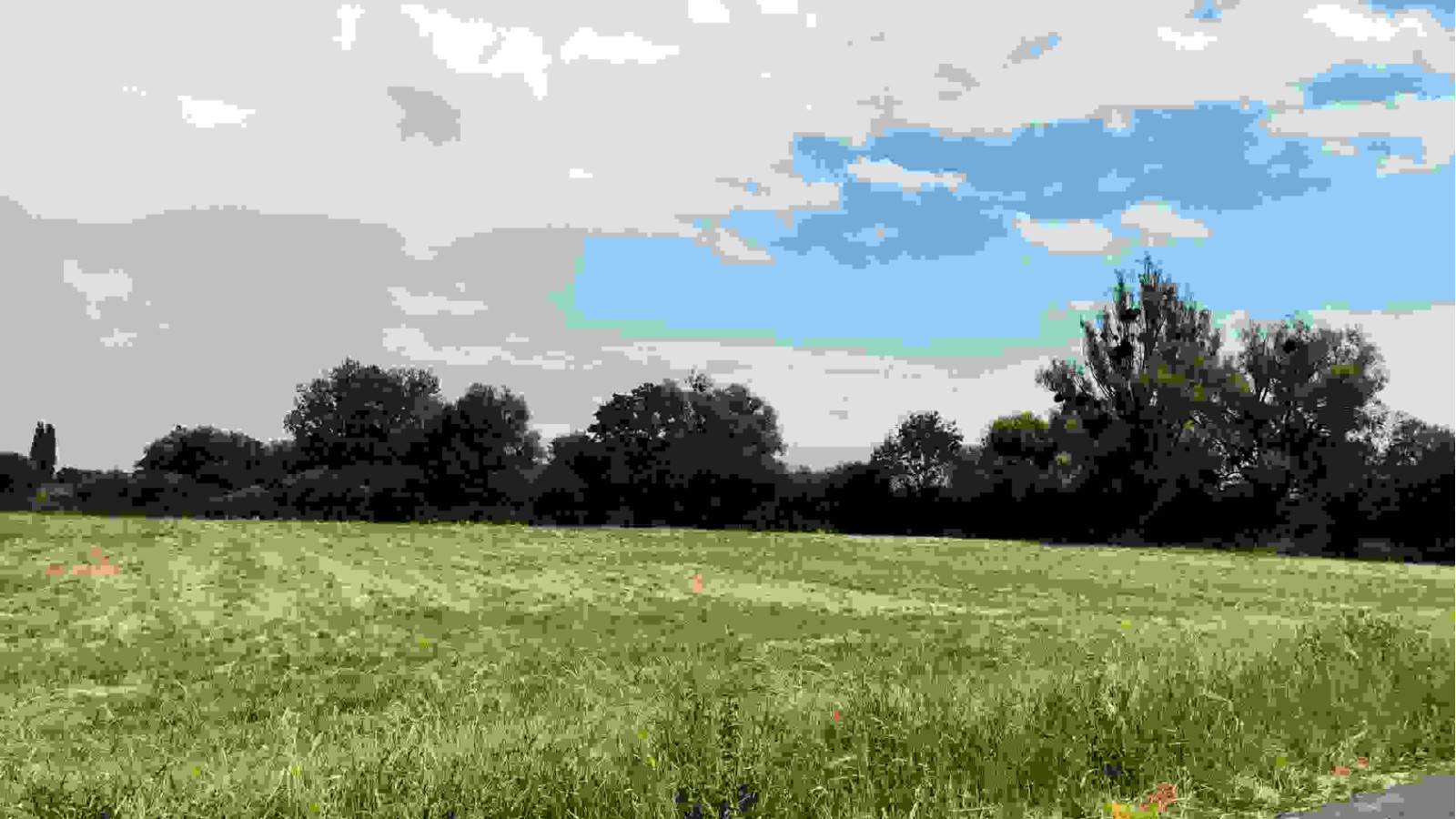 Terrain constructible de 3884m2 à Chédigny