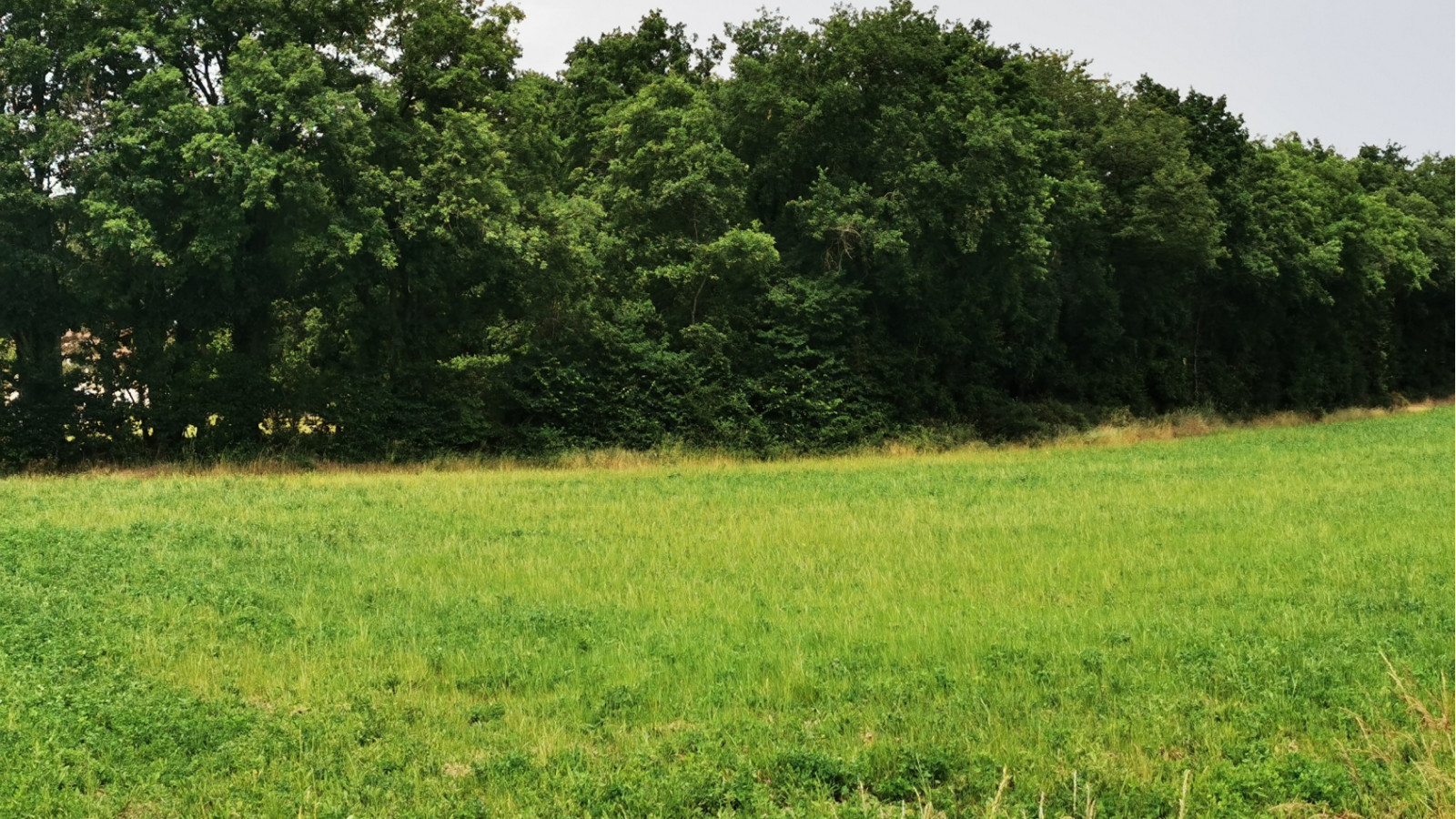 Terrain constructible de 532m2 à Athée-sur-Cher