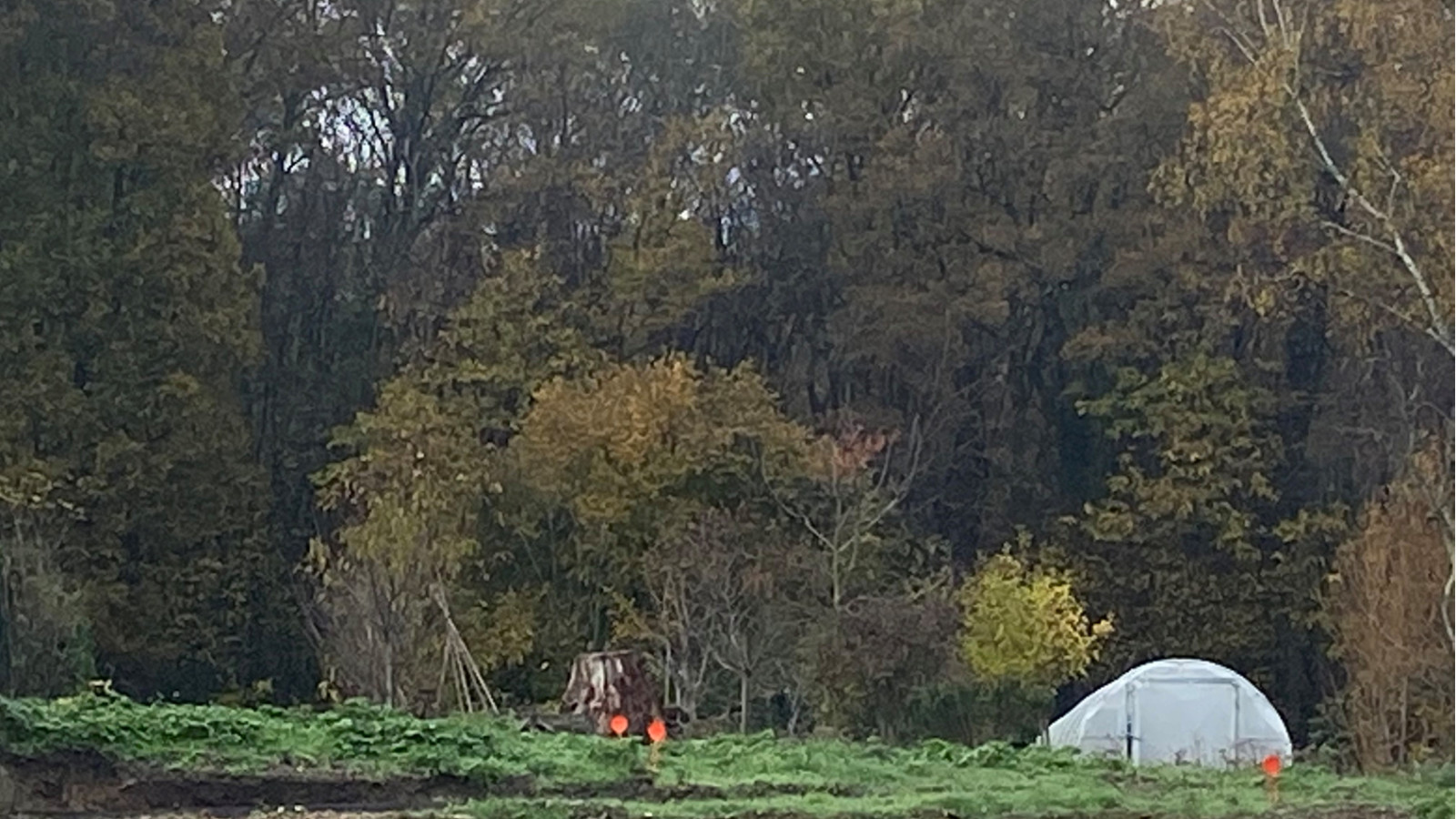 Terrain constructible de 546m2 à Chanceaux-sur-Choisille