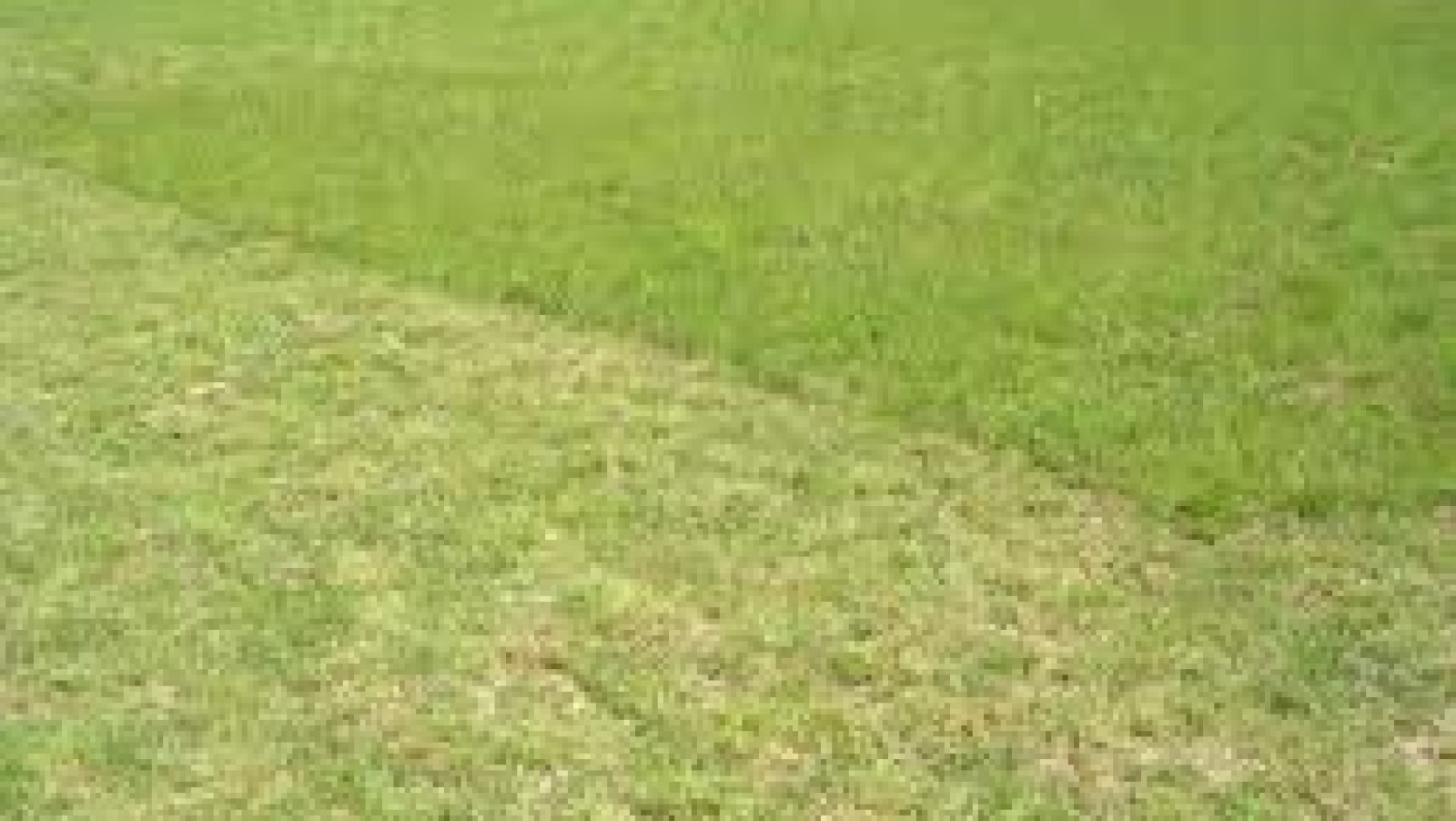 Terrain constructible de 560m2 à Chinon