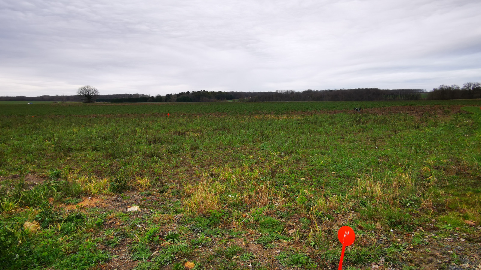 Terrain constructible de 437m2 à Courçay
