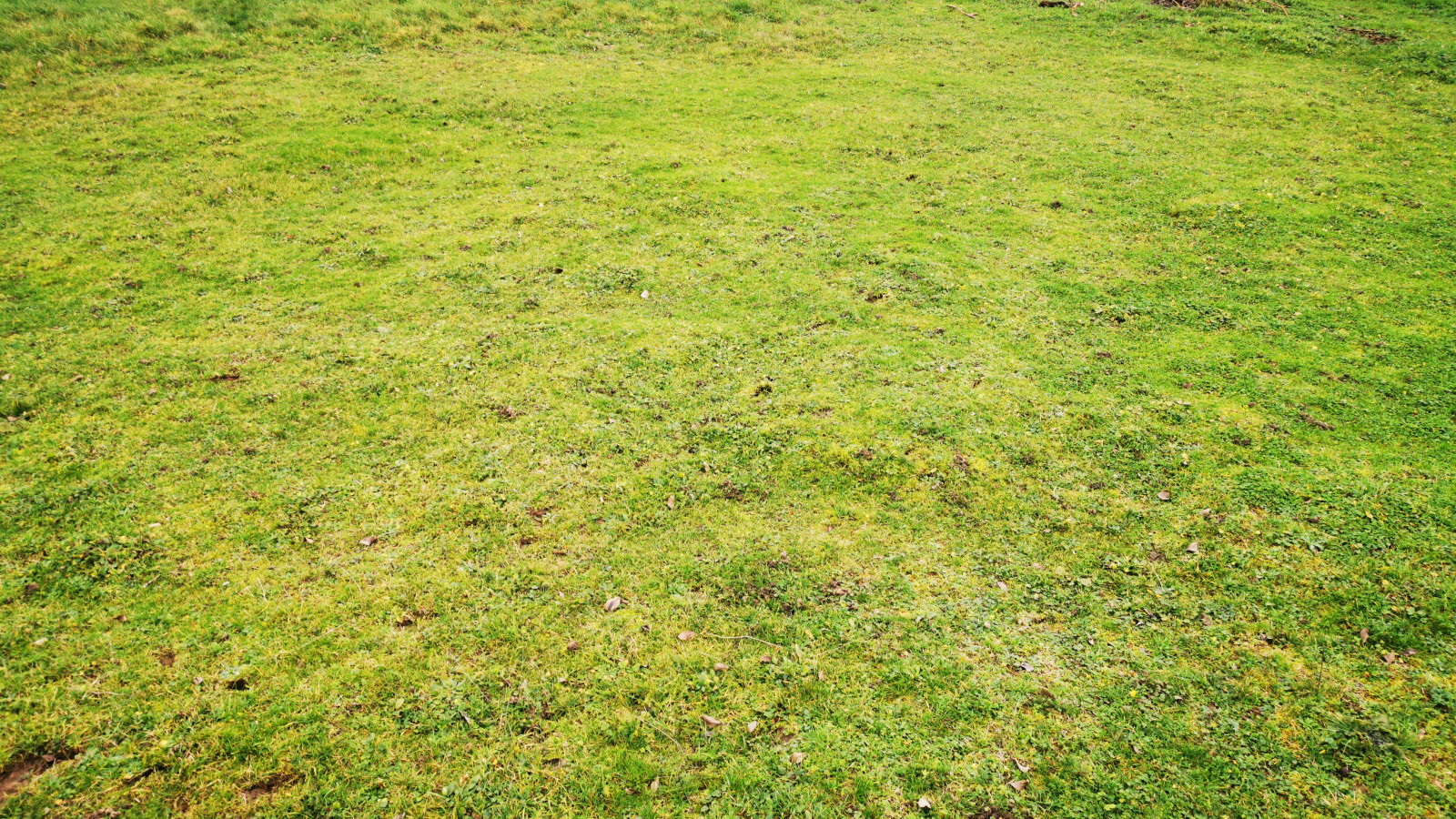 Terrain constructible de 938m2 à Saint-Avertin