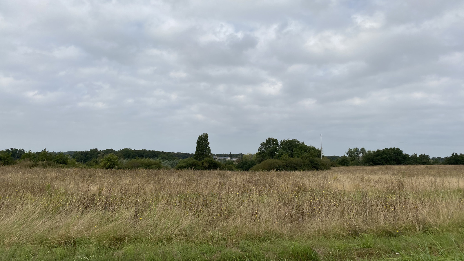 Terrain constructible de 474m2 à Tauxigny-Saint-Bauld